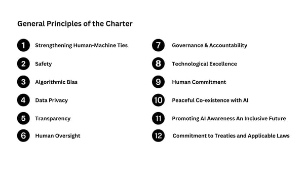 12 Principles for